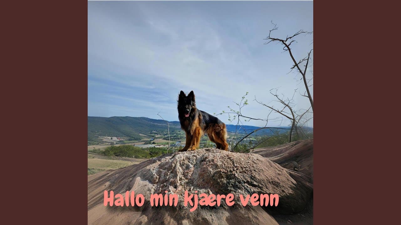 Videominiatyr for Hallo min kjære venn